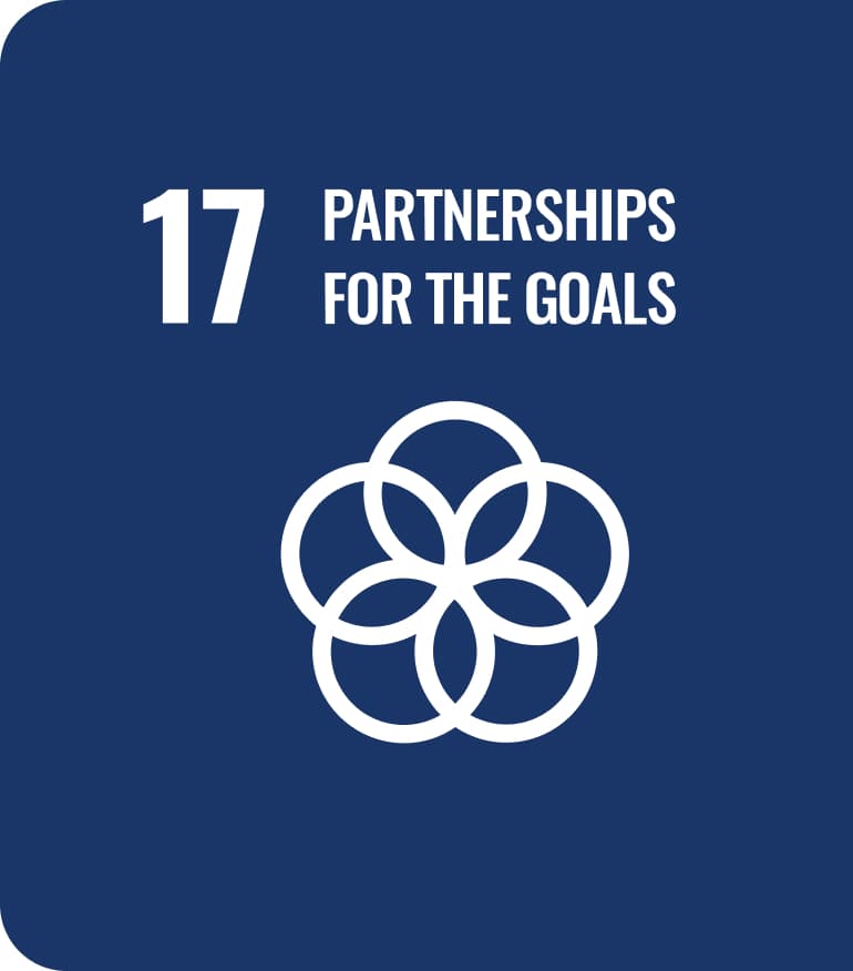 UN Sustainable Development Goal 17: Partnerships for the Goals