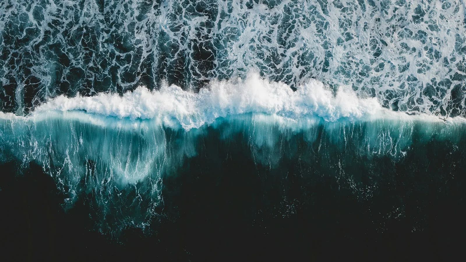 An aerial view of a body of water photo