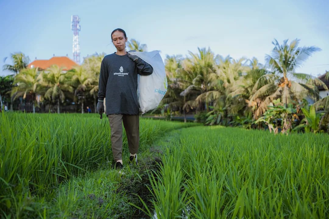 Woman walking in green fields in Bali picking plastic waste