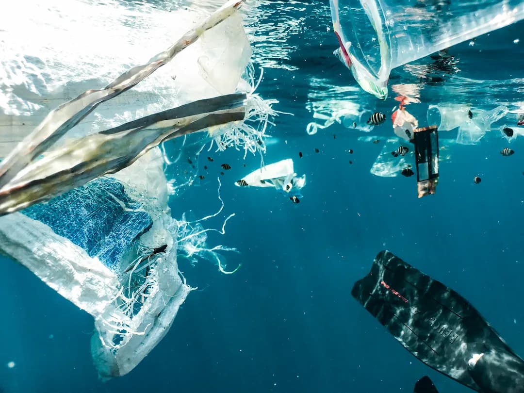 Plastic waste floating in the ocean